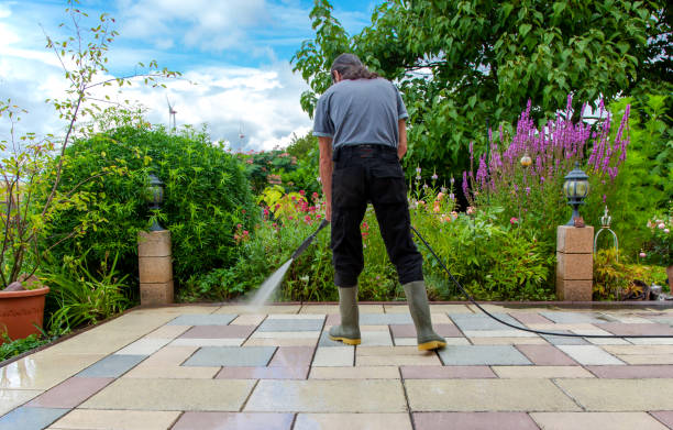Best Post-Construction Pressure Washing  in Rio Rico, AZ