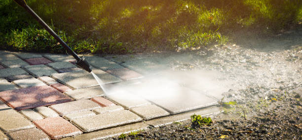 Best Playground Equipment Cleaning  in Rio Rico, AZ